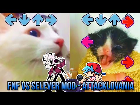 Attacklovania BUT TURKISH CAT VS TOWEL KITTEN - Friday Night Funkin Animation  - VS Selever Mod