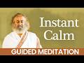 Inner Calm Guided Meditation With Gurudev