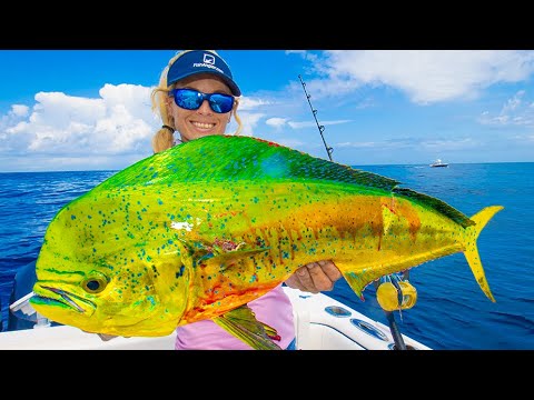 MAHI MAHI Catch & Cook on NINE HUNDRED Horsepower Super Boat! (Hillsboro Inlet)