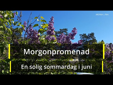 2021-06-02 MORGONPROMENAD - En solig sommardag i juni