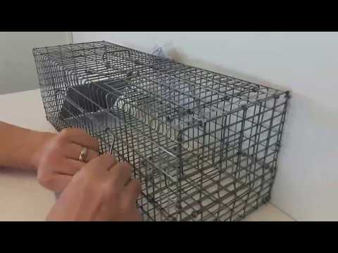 Inställning av: Sorkfälla trådduk