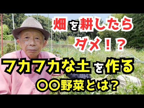 庭を耕したほうがいいでしょうか？耕さずに土地を耕すことはできますか?全てをお伝えします！  庭園