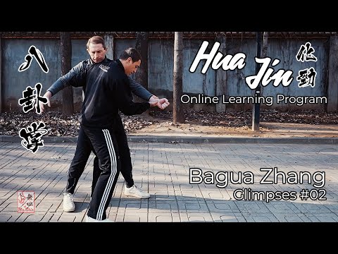 Hua Jin Online Learning Program - Bagua Zhang Glimpses #02