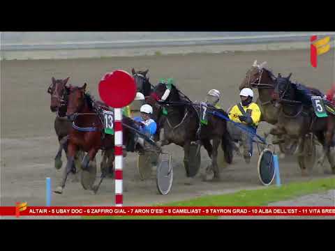 I corsa del 21 gennaio 2023 - 5 Anni ed oltre - Metri 2000 - Gentlemen