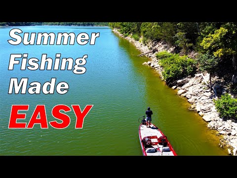 Why New Bass Fisherman Fail To Catch Bass In The Summer