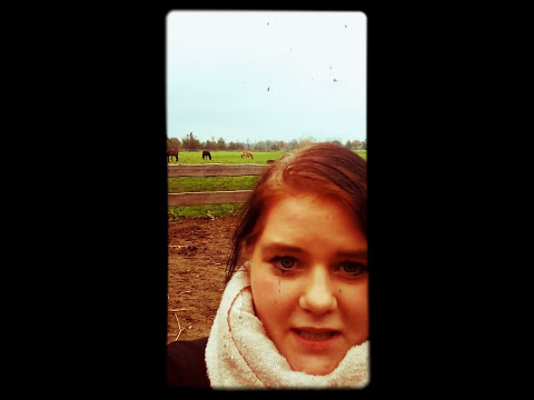 Schritte einer Hengst Legung 😃