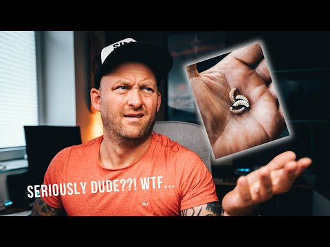 This FLY is BANNED?- Are you kidding me?! Easy maggot fly tying. Guaranteed to catch fish!