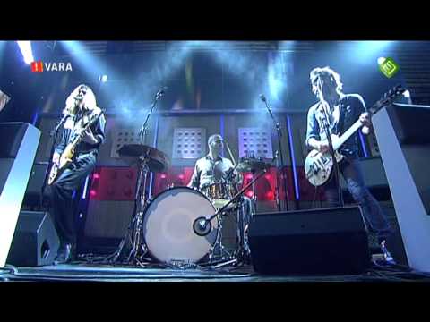 The Experimental Tropic Blues Band - Belgium State of Frustration (Live in DWDD)