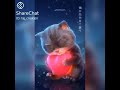 Inge Udal Ange Uyir Idhayaythil Valikududhe Whatsapp Status