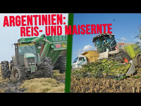 Maisernte & Reisernte in Argentinien | Ausschnitt aus der Doku Landwirtschaft in Südamerika