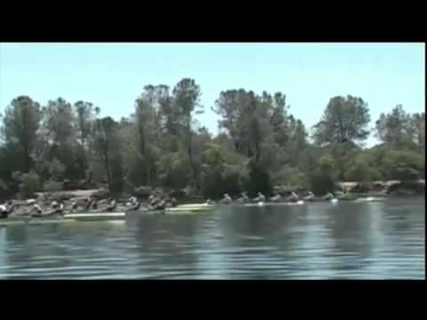 Harvard Men's Heavyweight Rowing Varsity 8 - National Championship