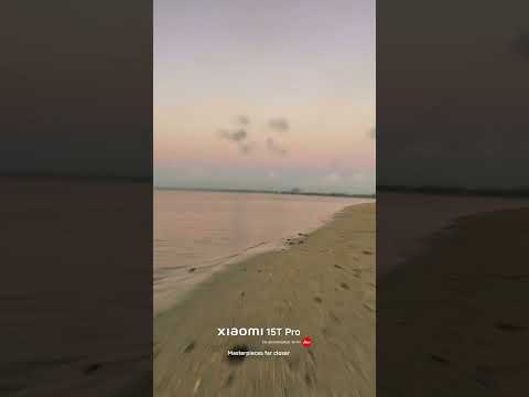 Day Beach Video