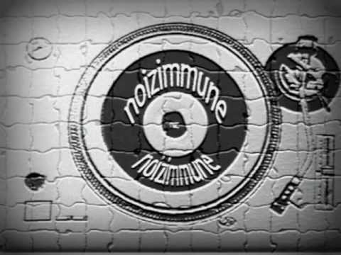 david guetta (you 're not alone) & some sun is shining bob marley -  noizimmune mix