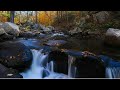 Nature Whatsapp Status River Whatsapp Status Whatsapp Status Latest Whatsapp Status