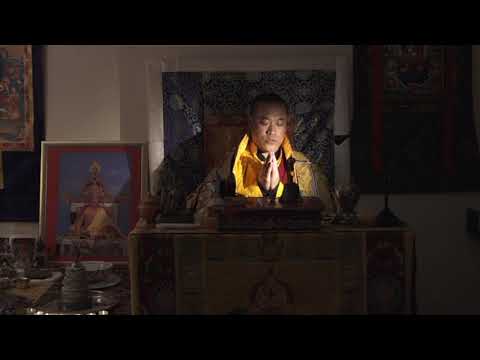 download lagu mp3 mp4 Palyul Nyingma, download lagu Palyul Nyingma gratis, unduh video klip Palyul Nyingma