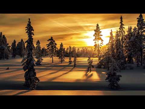 Thomas McNeice & Robin Thomson - Starving