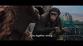 &quot;Apes together strong&quot; - Rise Of The Planet Of The Apes (movie scene)