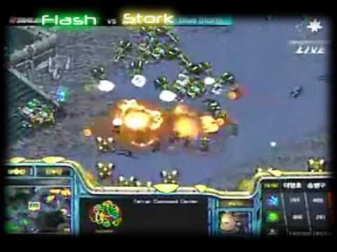 StorK the Bird by MooN