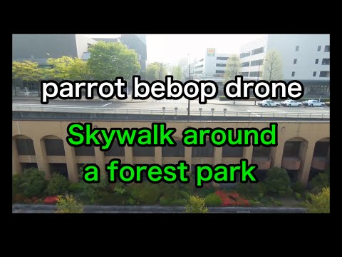 Parrot bebop drone - Skywalk around a forest park