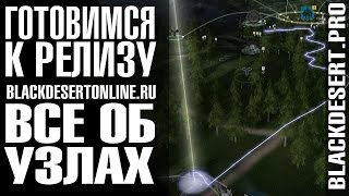 Ресурсные узлы в Black Desert