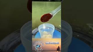 Download lagu Mẹo làm mồi câu cá chép đơn giản mp3 Download lagu Mẹo làm mồi câu cá chép đơn giản mp3