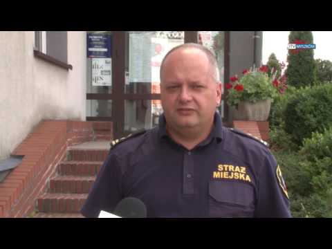 MYSZKÓW - Wielkogabarytowy problem