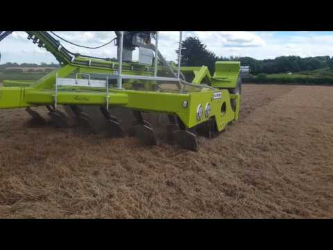 Alstrong Auctus direct seeding