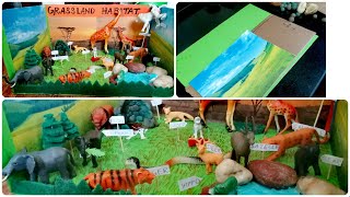 How to make Grassland Habitat Model/Grassland Habitat Diorama School project for kids.