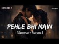 Pehle Bhi Main Extended Film Version (Slowed + Reverb) - Vishal Mishra - Animal