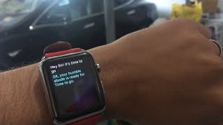 Using Siri to Control and Summon Tesla