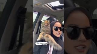 Download lagu Cewek Cantik Kena Tai Kucing Anget #shorts #viral #lucu mp3