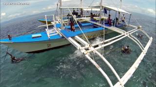 preview picture of video 'Intro to Savedra Dive Center and Moalboal'