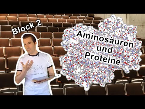Grundvorlesung "Uni-Version" - Block 2: Aminosäuren und Proteine
