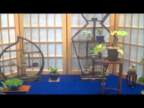 download lagu mp3 mp4 Alabama Bonsai, download lagu Alabama Bonsai gratis, unduh video klip Alabama Bonsai
