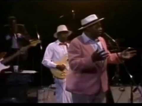 Willie Dixon Blues Band ( Live)  Carey Bell Harmonica