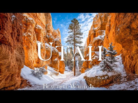 Utah 4K | Winter Realms of Red Rock Canyons, Frozen Alpine Forests & Winter Trails