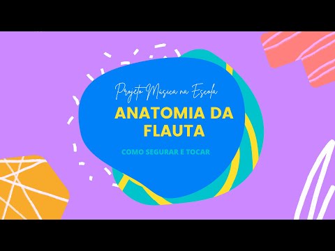 ANATOMIA DA FLAUTA - COMO SEGURAR E SOPRAR // Projeto Música na Escola