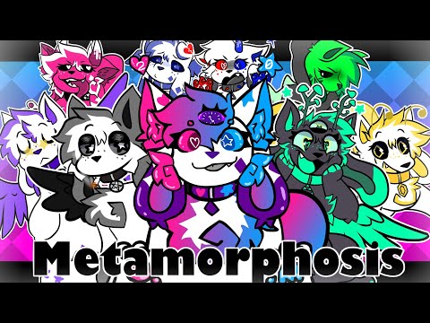 METAMORPHOSIS//MEME// for KITTYDOG