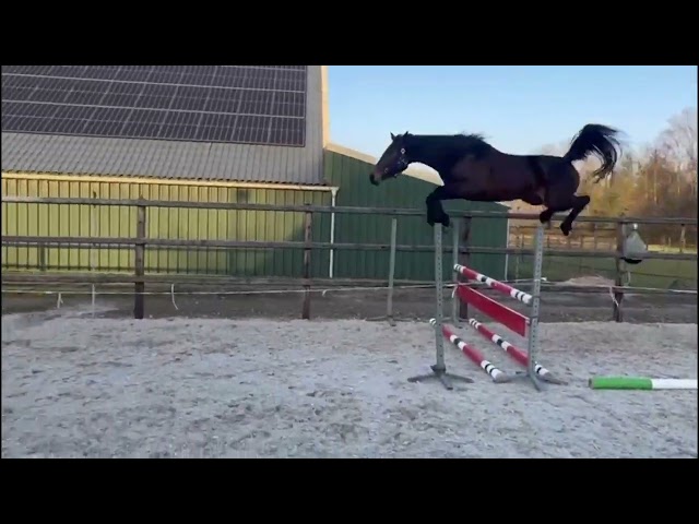 home jumps Teanette
