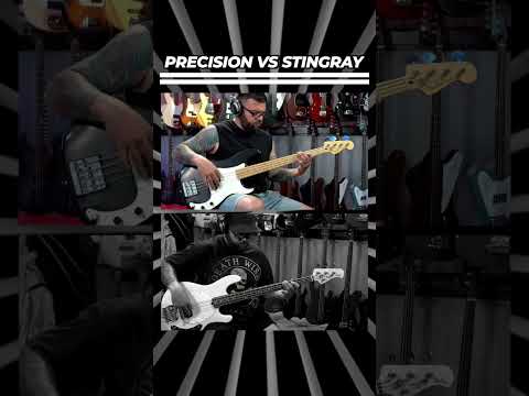 Precision Bass vs. Stingray