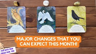 Major Changes That You Can Expect This Month! | Timeless Reading