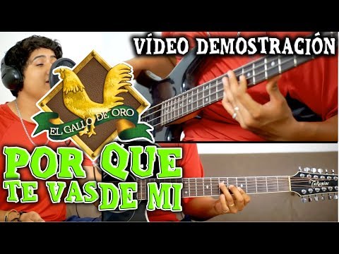 Por Que Te Vas De Mi - Valentin Elizalde