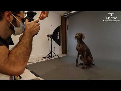 Perfecting the art of pet photography