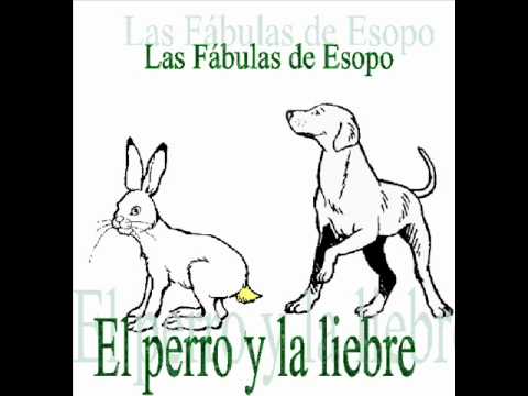 download lagu mp3 mp4 Cuento El Perro Y La Liebre, download lagu Cuento El Perro Y La Liebre gratis, unduh video klip Cuento El Perro Y La Liebre