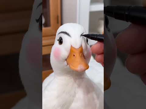 Things Call Ducks Won’t Tell You 🦆🤫 (Part 2)