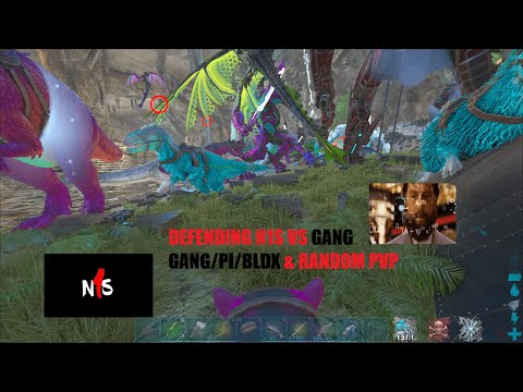 DEFENDING 203 N1S VS  GANG GANG ALLY & GRIEFING BEAR CAVE | Ark Official PVP |