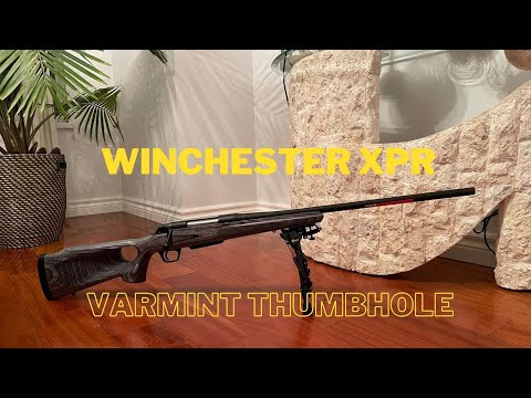 Winchester XPR Varmint Thumbhole