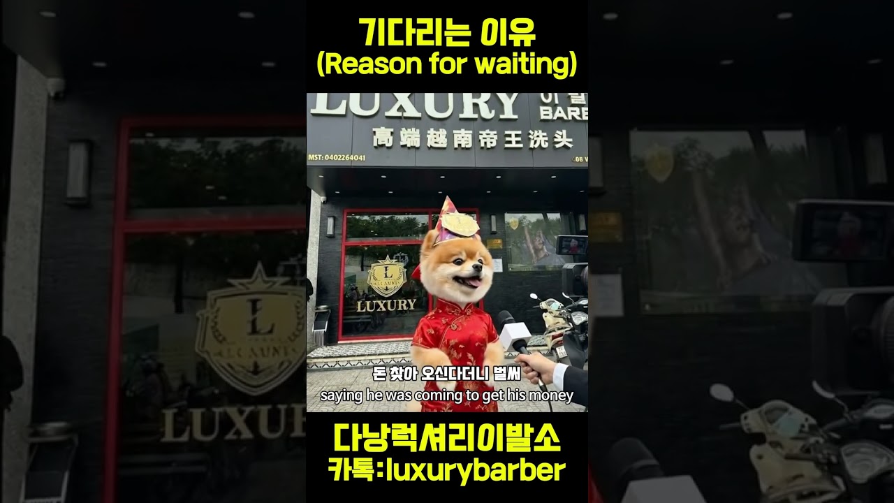 다 괜찮습니다 고객님^^ #다낭이발관 #토탈케어 #귀청소 #면도 #샴푸 #다낭 럭셔리 이발소