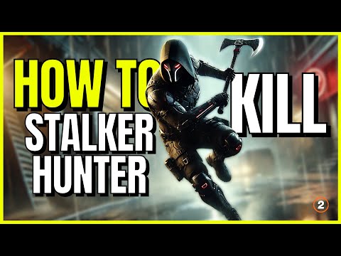 HOW TO KILL AN OPEN WORLD STALKER HUNTER (The Division 2)