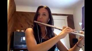 Flute cover of Para Mexer by Animals As Leaders